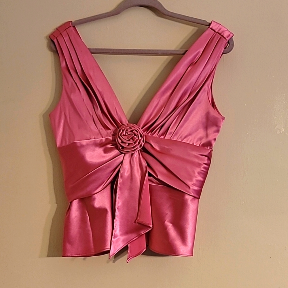 Cache pink outfit blouse size 6 and skirt size 2